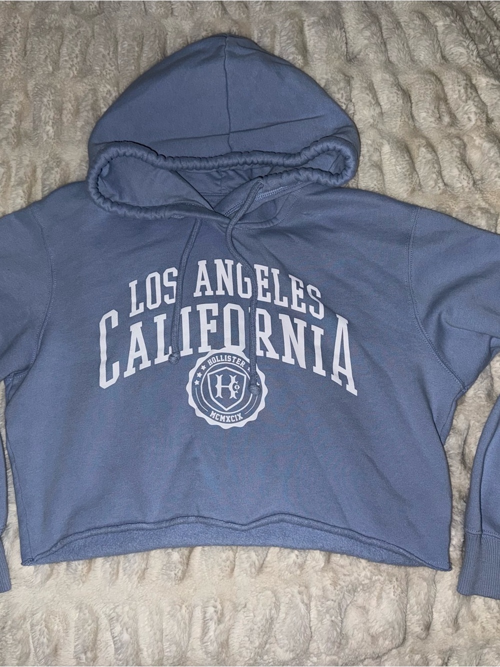 Hollister Light Blue Cropped Los Angeles California Hoodie